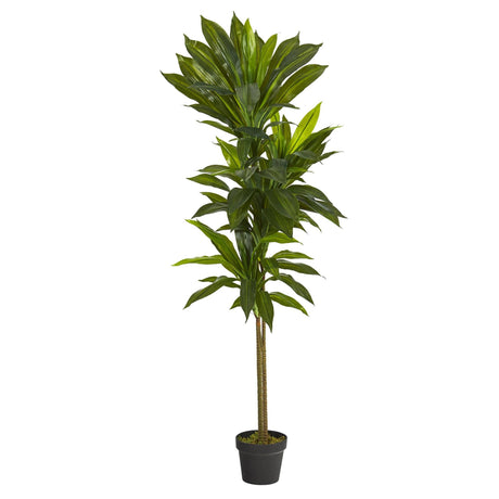 56” Dracaena Artificial Plant (Real Touch)-Parc Decor