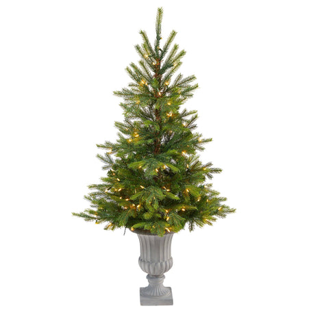 56” North Carolina Spruce Artificial Christmas Tree with 100 Clear Lights and 207 Bendable Branches in Decorative Urn-Christmas Tree-Parc Decor