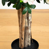 57” Azalea Artificial Tree-Parc Decor