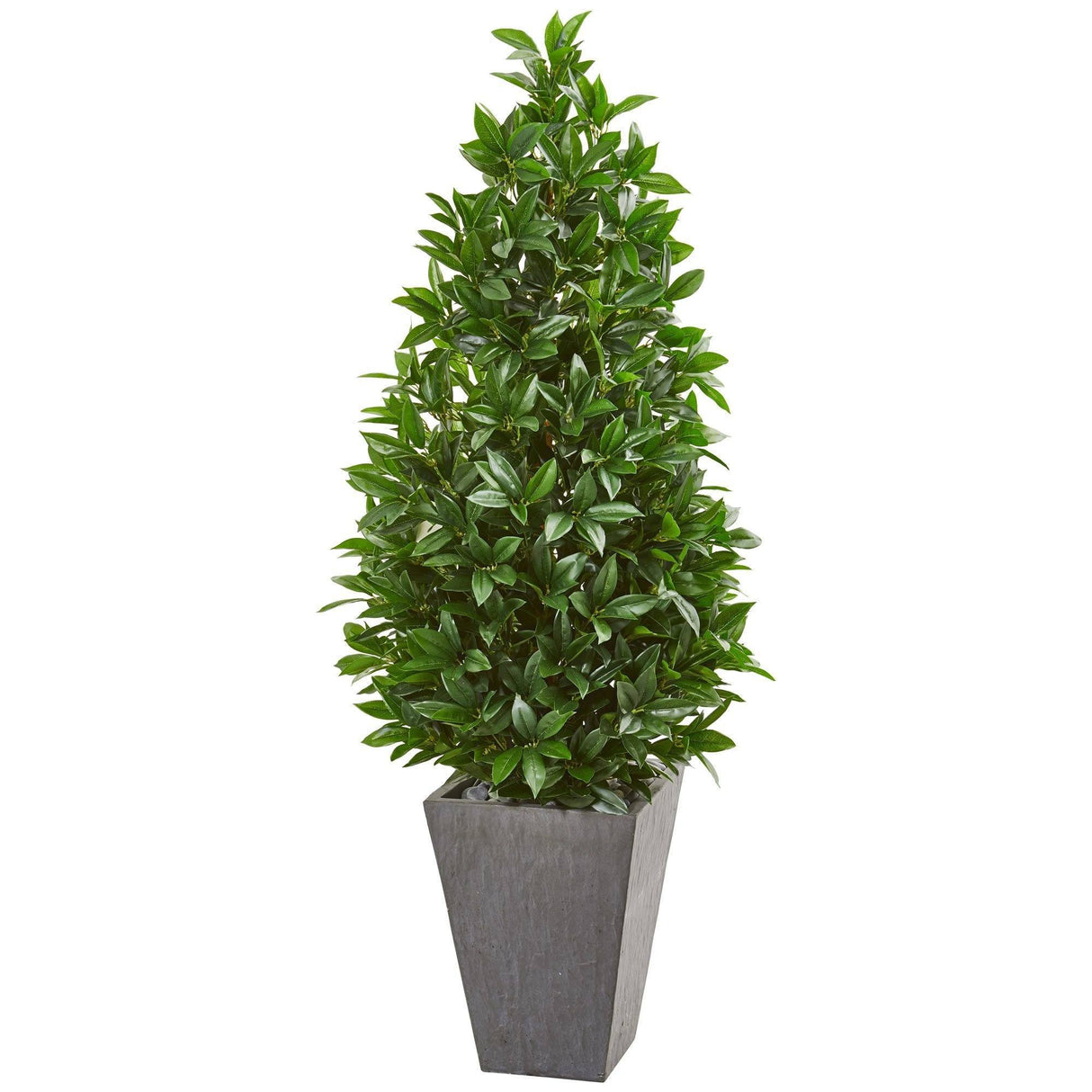 57” Bay Leaf Cone Topiary Tree in Slate Planter (Indoor/Outdoor)-Parc Decor