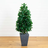 57” Bay Leaf Cone Topiary Tree in Slate Planter (Indoor/Outdoor)-Parc Decor
