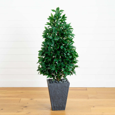 57” Bay Leaf Cone Topiary Tree in Slate Planter (Indoor/Outdoor)-Parc Decor