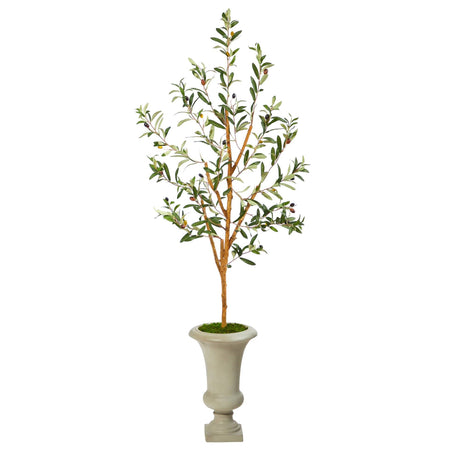 57” Olive Artificial Tree in Sand Colored Urn-Parc Decor