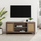 58" 2 Door Wood and Rattan TV Stand-Entertainment-Parc Decor