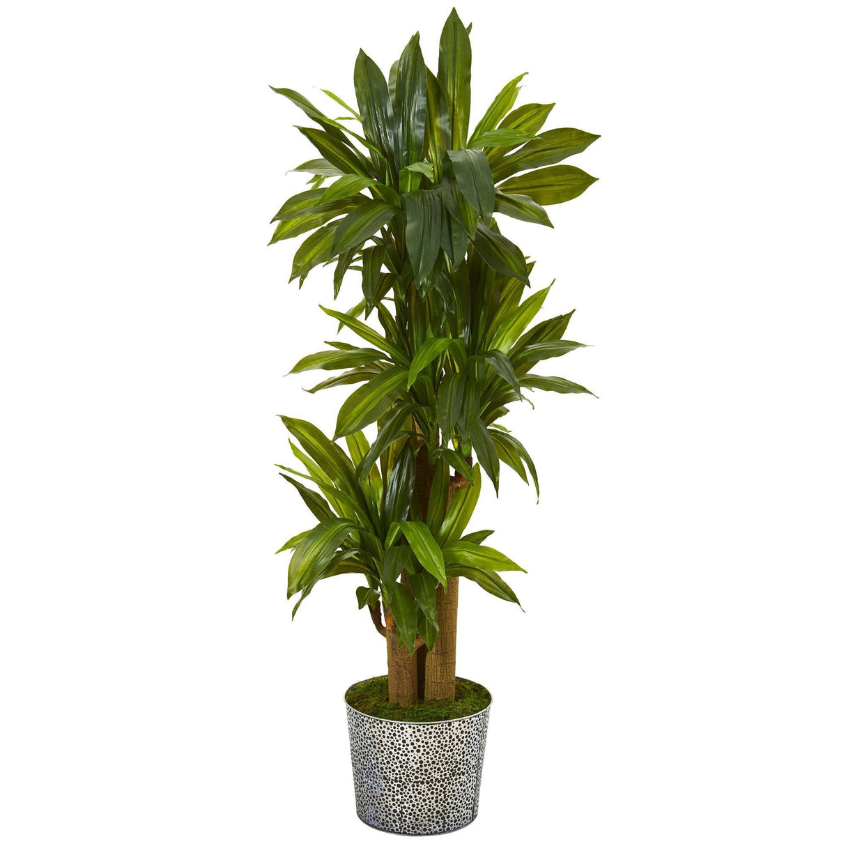 58” Corn Stalk Dracaena Artificial Plant in Black Embossed Tin Planter (Real Touch)-Parc Decor