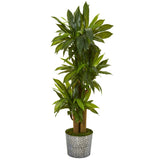 58” Corn Stalk Dracaena Artificial Plant in Black Embossed Tin Planter (Real Touch)-Parc Decor