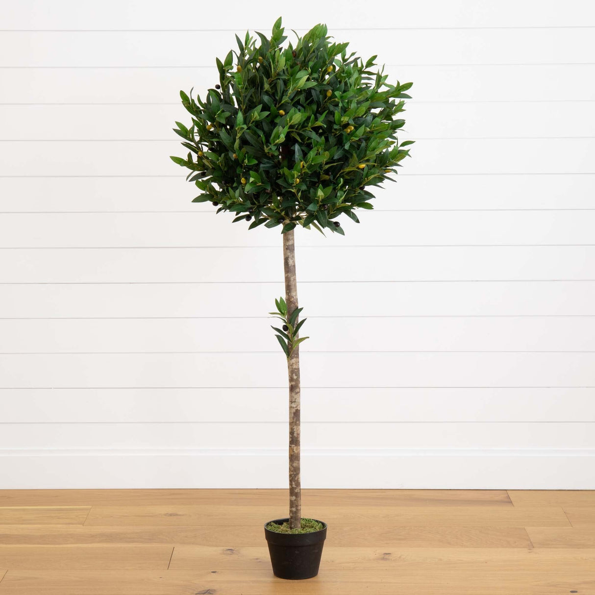 58” Olive Topiary Artificial Tree UV Resistant (Indoor/Outdoor)-Parc Decor