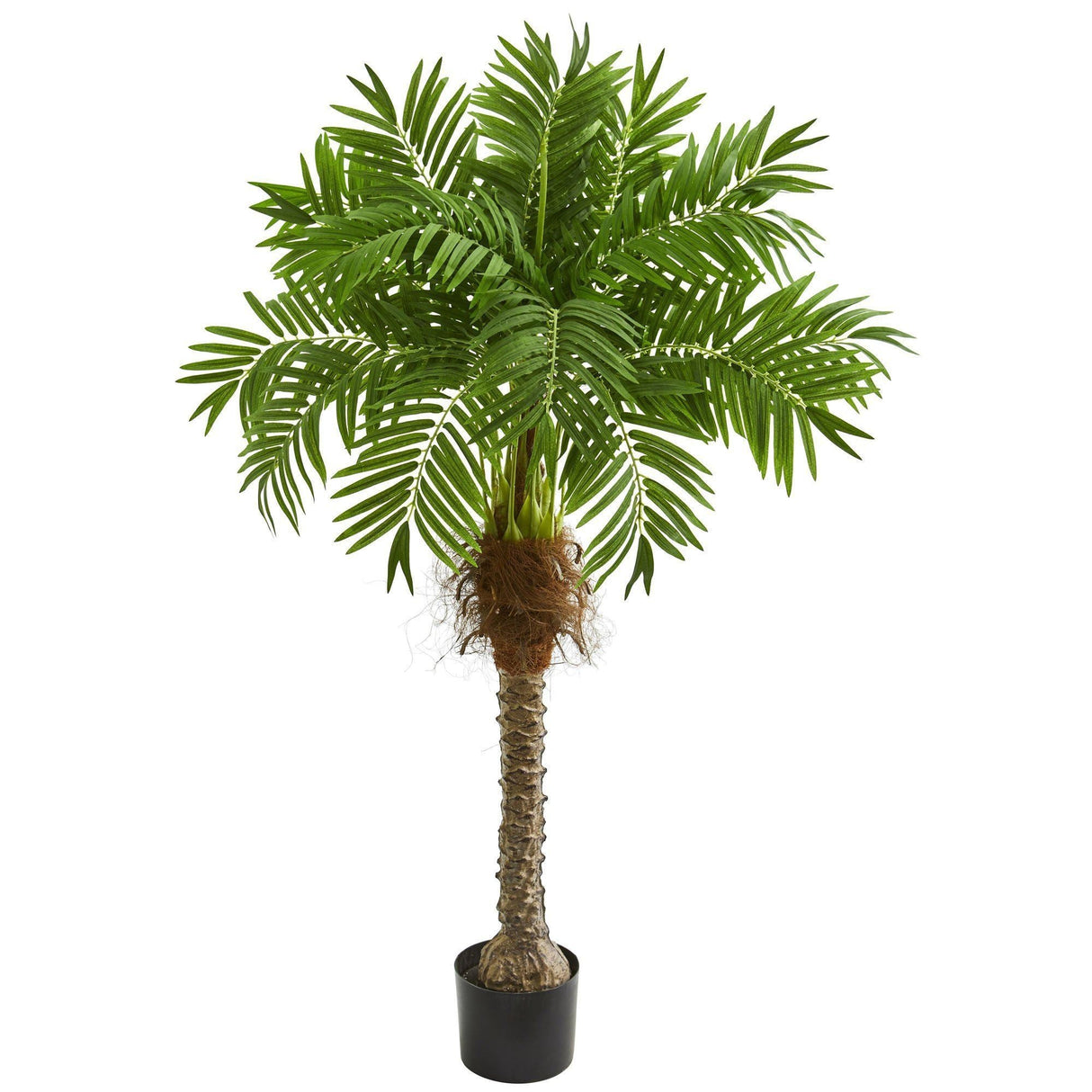 58” Robellini Palm Artificial Tree-Parc Decor