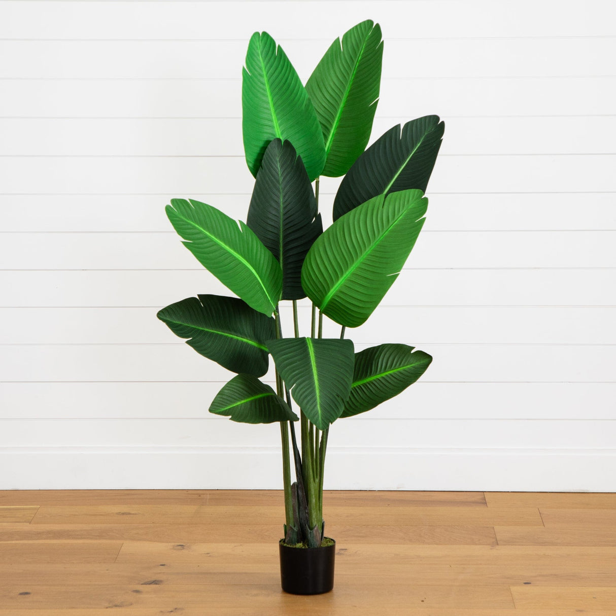 58” Traveler's Palm Artificial tree-Parc Decor