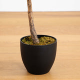 59” Fiddle Leaf Artificial Tree (Real Touch)-Parc Decor