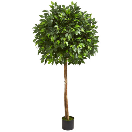 5.5’ Artificial Ficus Tree Two Trunks-Parc Decor