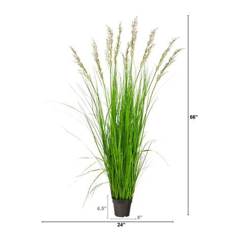 5.5’ Artificial Plum Grass Plant-Parc Decor