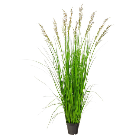 5.5’ Artificial Plum Grass Plant-Parc Decor