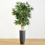 5.5’ Bamboo Tree in Gray Cylinder Planter-Parc Decor