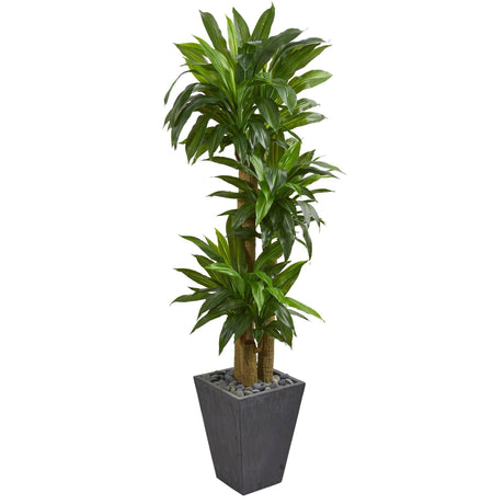 5.5’ Cornstalk Dracaena Artificial Plant in Slate Planter (Real Touch)-Parc Decor