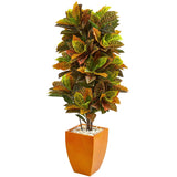 5.5’ Croton Artificial Plant in Orange Planter (Real Touch)-Parc Decor
