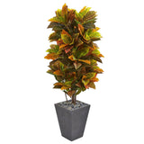 5.5’ Croton Artificial Plant in Slate Planter (Real Touch)-Parc Decor