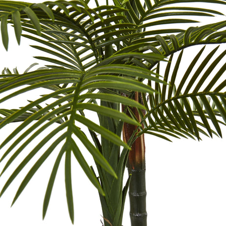 5.5’ Double Robellini Palm Tree UV Resistant (Indoor/Outdoor)-Parc Decor