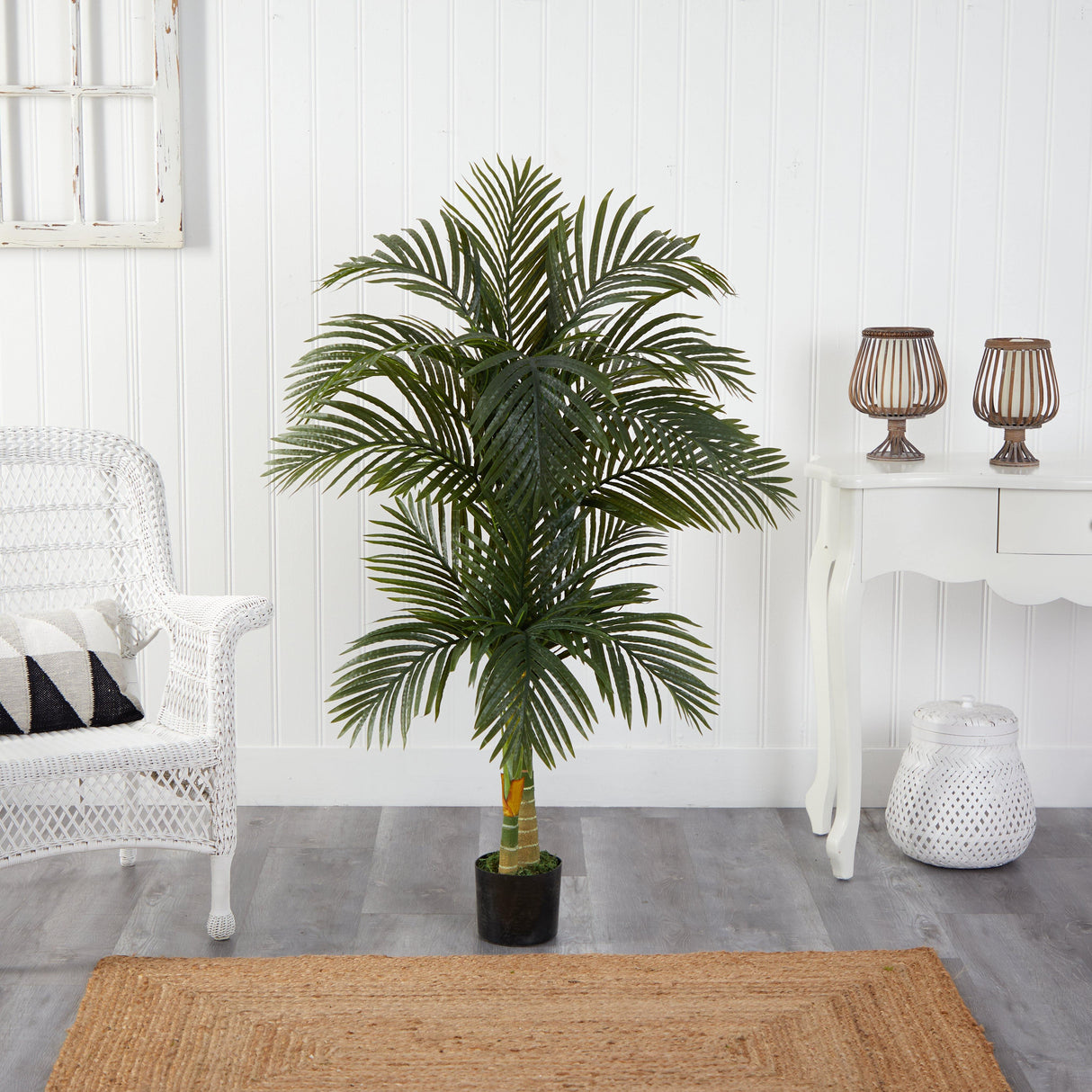 5.5’ Double Robellini Palm Tree UV Resistant (Indoor/Outdoor)-Parc Decor