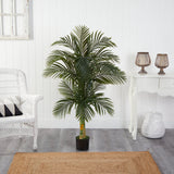 5.5’ Double Robellini Palm Tree UV Resistant (Indoor/Outdoor)-Parc Decor