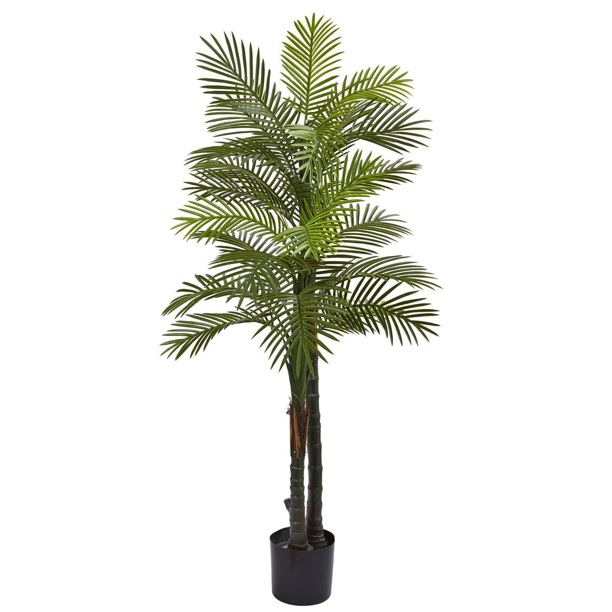 5.5’ Double Robellini Palm Tree UV Resistant (Indoor/Outdoor)-Parc Decor