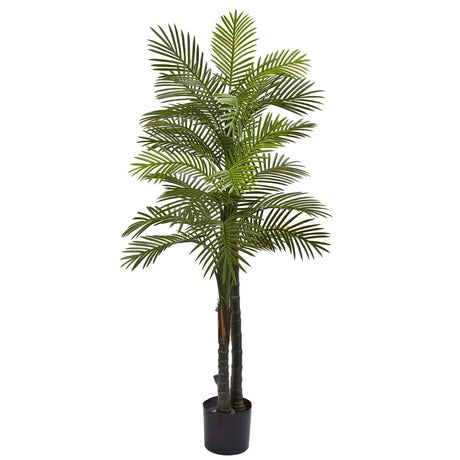 5.5’ Double Robellini Palm Tree UV Resistant (Indoor/Outdoor)-Parc Decor