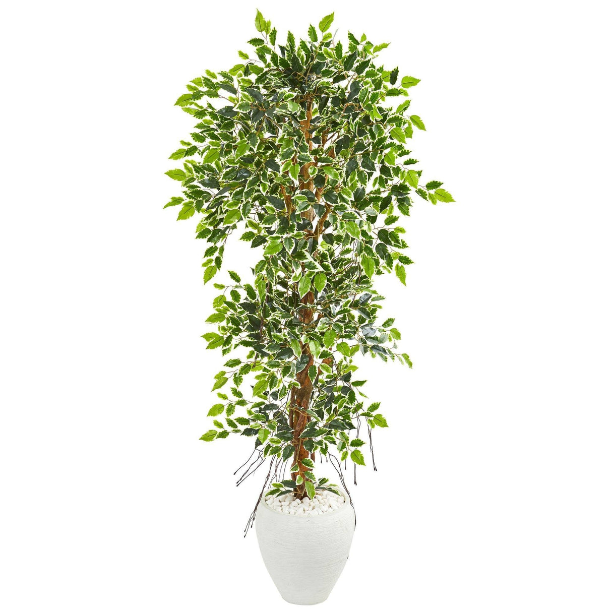 5.5’ Elegant Ficus Artificial Tree in White Planter-Parc Decor