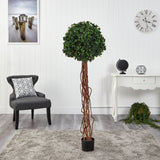 5.5’ English Ivy Single Ball Artificial Topiary Tree with Natural Trunk UV Resistant (Indoor/Outdoor)-Parc Decor