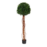 5.5’ English Ivy Single Ball Artificial Topiary Tree with Natural Trunk UV Resistant (Indoor/Outdoor)-Parc Decor