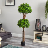 5.5' Eucalyptus Double Ball Topiary Silk Tree-Parc Decor