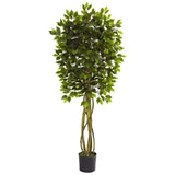5.5' Ficus Tree UV Resistant (Indoor/Outdoor)-Parc Decor