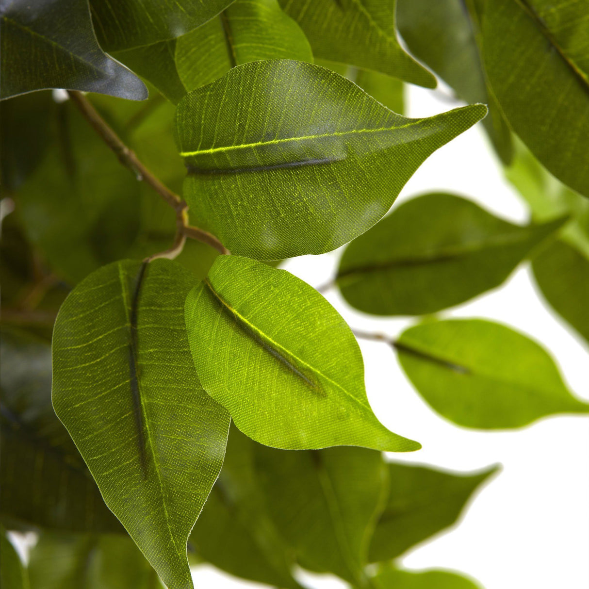 5.5' Ficus Tree UV Resistant (Indoor/Outdoor)-Parc Decor