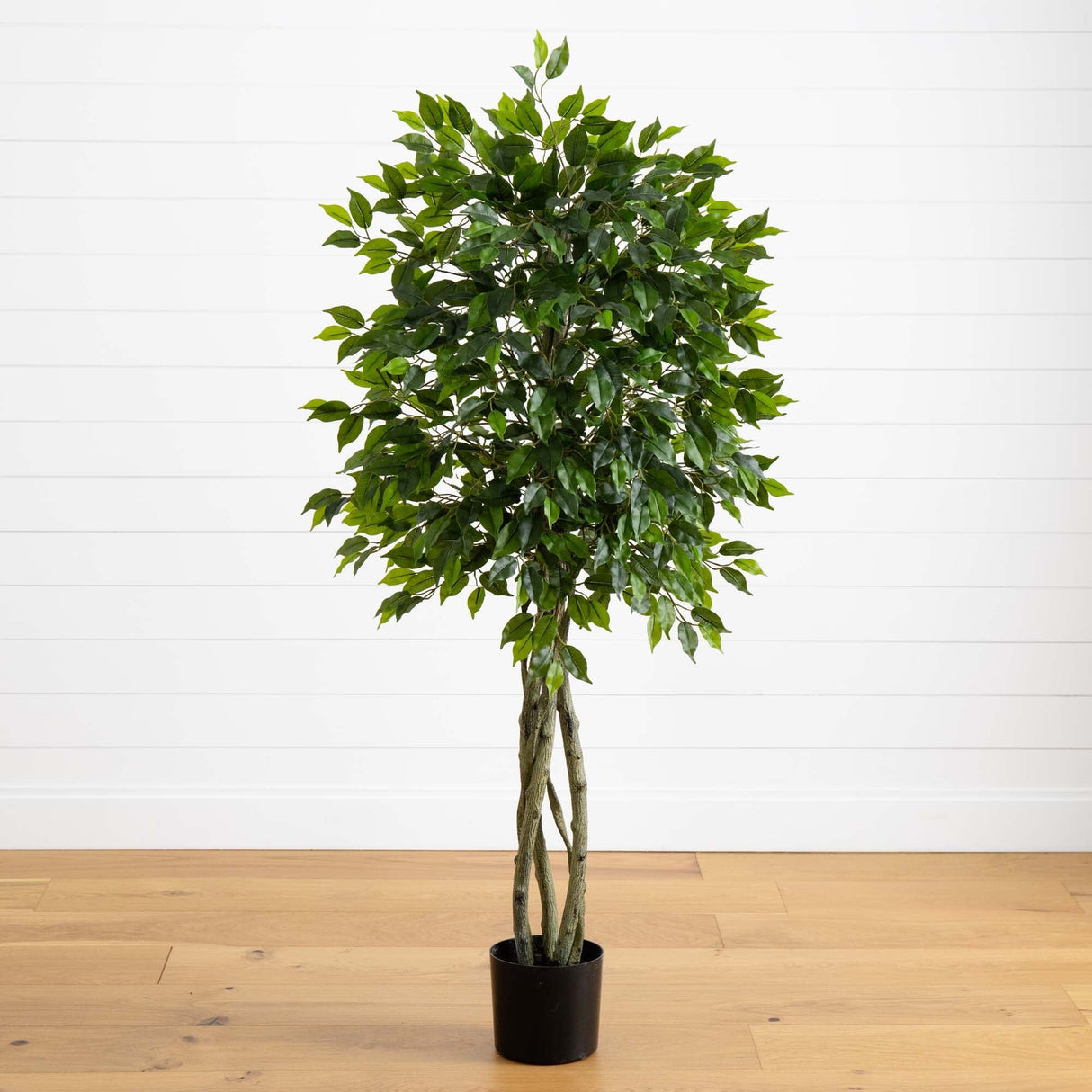 5.5' Ficus Tree UV Resistant (Indoor/Outdoor)-Parc Decor