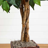 5.5’ Ficus Tree w/Bamboo Planter-Parc Decor