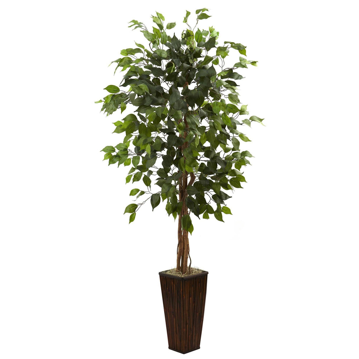 5.5’ Ficus Tree w/Bamboo Planter-Parc Decor