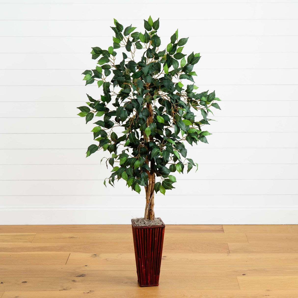 5.5’ Ficus Tree w/Bamboo Planter-Parc Decor