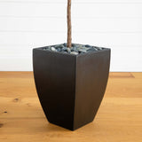 5.5’ Fiddle Leaf Artificial Tree in Black Planter (Real Touch)-Parc Decor