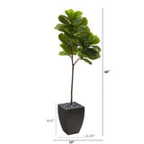 5.5’ Fiddle Leaf Artificial Tree in Black Planter (Real Touch)-Parc Decor