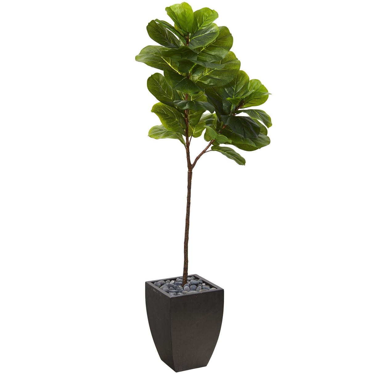 5.5’ Fiddle Leaf Artificial Tree in Black Planter (Real Touch)-Parc Decor