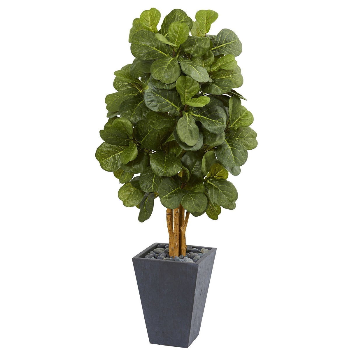 5.5’ Fiddle Leaf Artificial Tree in Slate Planter-Parc Decor