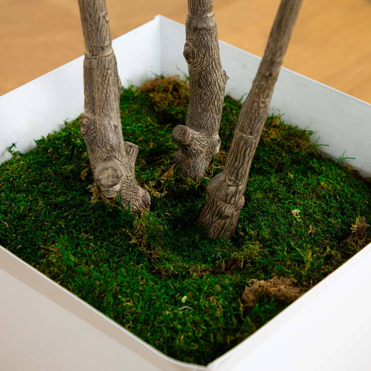 5.5’ Fiddle Leaf Artificial Tree in White Metal Planter(Indoor/Outdoor)-Parc Decor