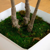 5.5’ Fiddle Leaf Artificial Tree in White Metal Planter(Indoor/Outdoor)-Parc Decor