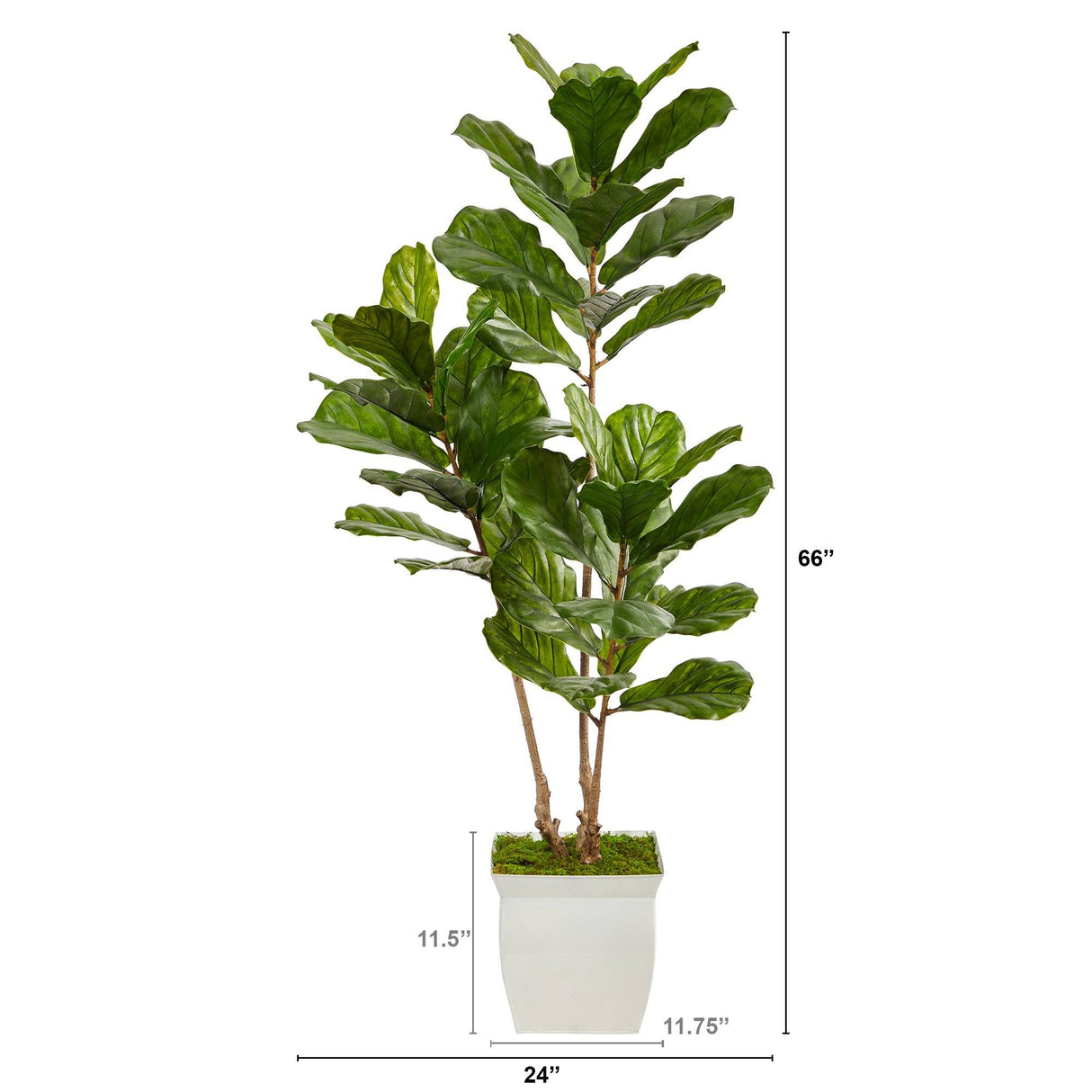 5.5’ Fiddle Leaf Artificial Tree in White Metal Planter(Indoor/Outdoor)-Parc Decor