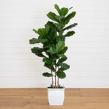 5.5’ Fiddle Leaf Artificial Tree in White Metal Planter(Indoor/Outdoor)-Parc Decor