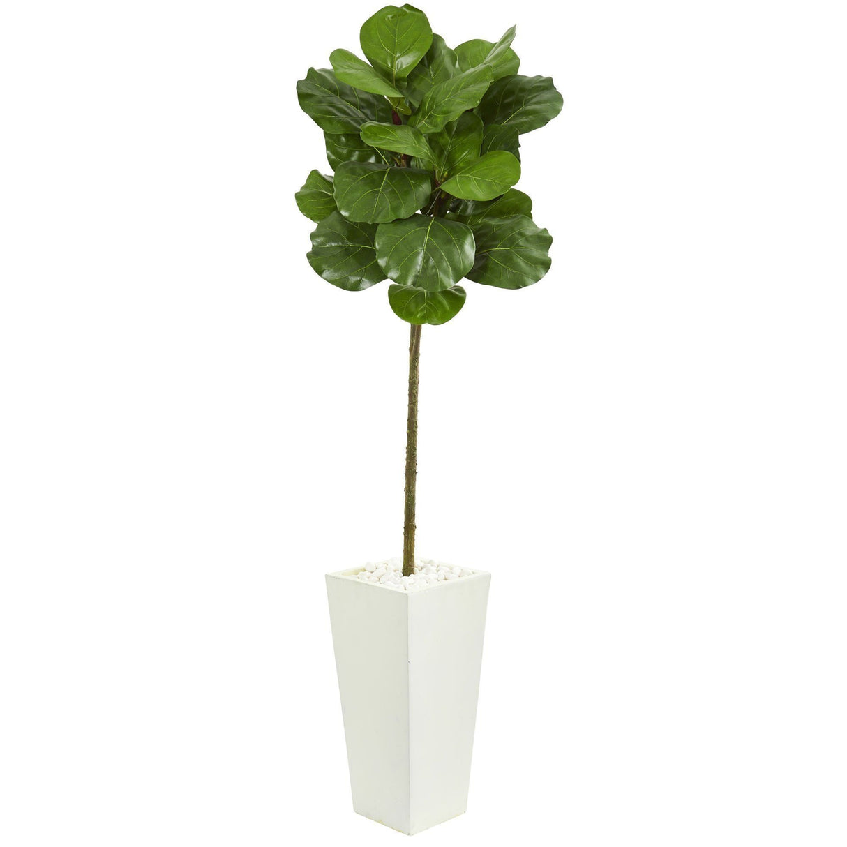 5.5’ Fiddle Leaf Artificial Tree in White Tower Planter-Parc Decor