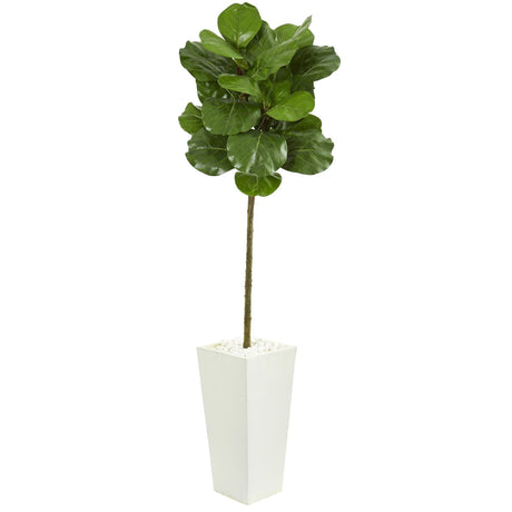 5.5’ Fiddle Leaf Artificial Tree in White Tower Planter-Parc Decor