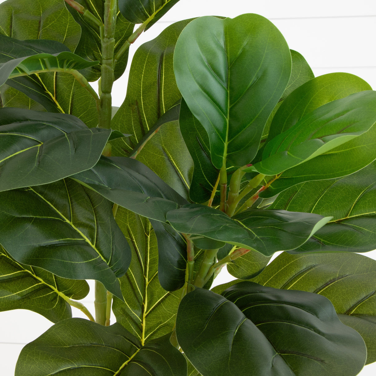 5.5’ Fiddle Leaf Fig Artificial Tree-Parc Decor