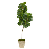 5.5’ Fiddle leaf Fig Artificial Tree in Country White Planter-Parc Decor