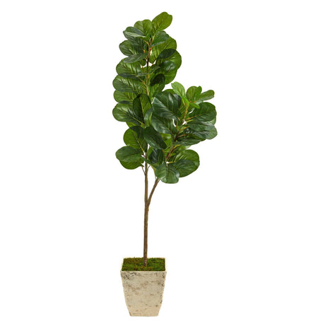 5.5’ Fiddle leaf Fig Artificial Tree in Country White Planter-Parc Decor