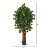 5.5’ Lychee Artificial Tree with Natural Trunk-Parc Decor